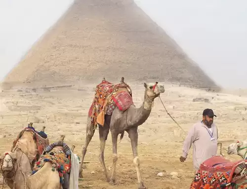 Giza